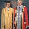 Specialised academic attire: Gowns for top hierarchy